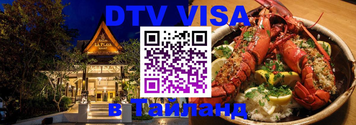 Оформление DTV визы под ключ: стоимость и тарифы, только загранпаспорт - Рубцовск  06.10.2025 